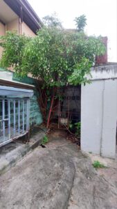 viber image 2024 06 25 14 23 44 374